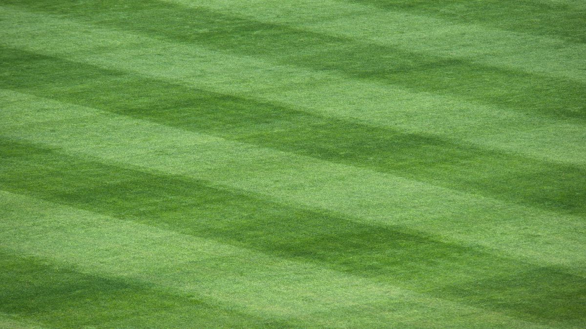 Pleimore Padel Grani